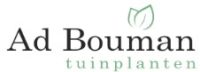 bouman 2