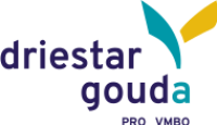 gouda-pro_84246969
