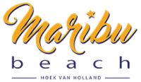 logo-small-removebg-preview